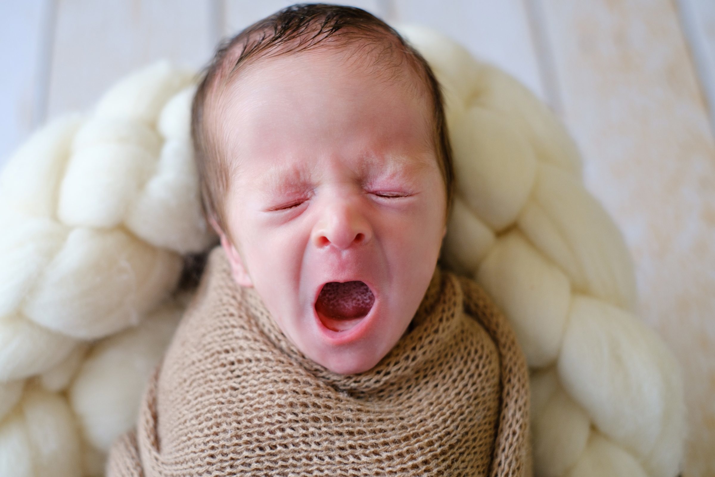 Foto de Gracy Tobias 7